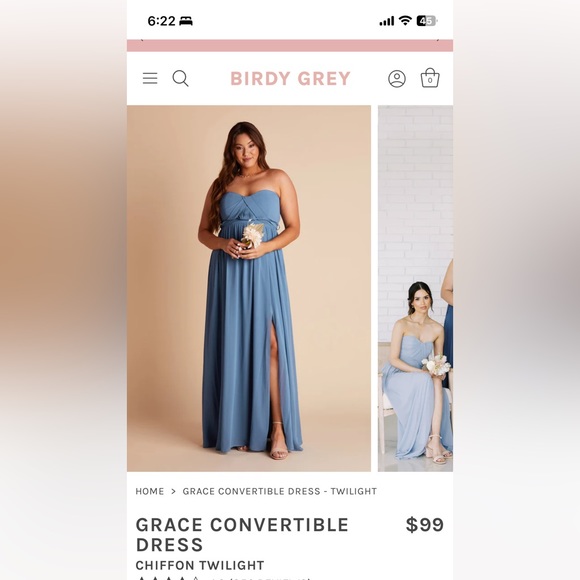 NEW Birdy Grey GRACE CONVERTIBLE DRESS CHIFFON TWILIGHT Size Small - Picture 6 of 7